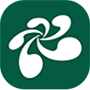 云屋小班课app
